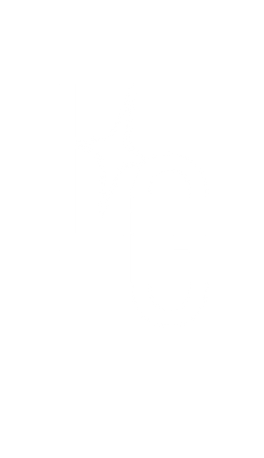 Light Guys Logo