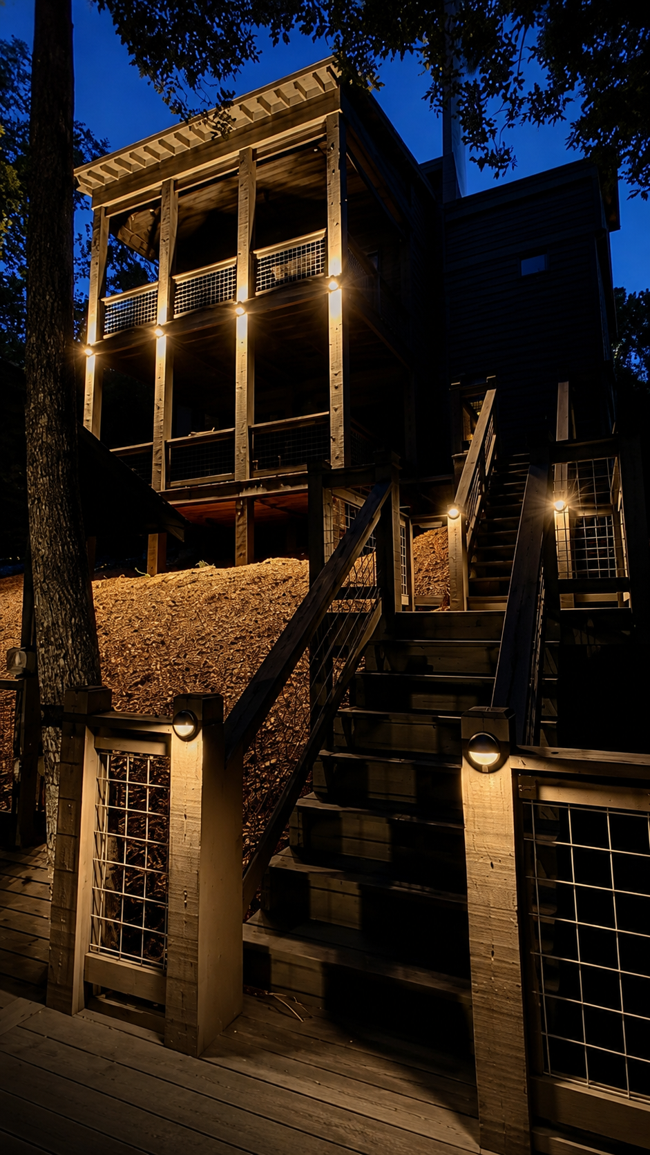 Bamboo grove with dramatic uplight accents