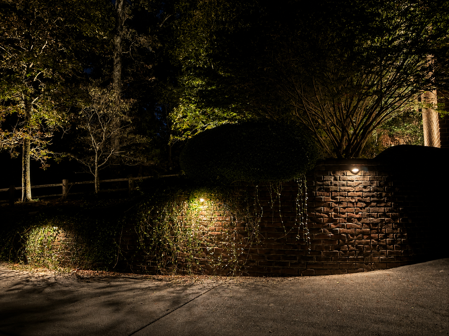 Forest clearing with pathway and tree uplighting